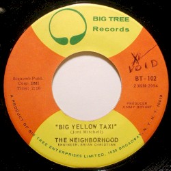 Big Yellow Taxi / You Could Be Born Again