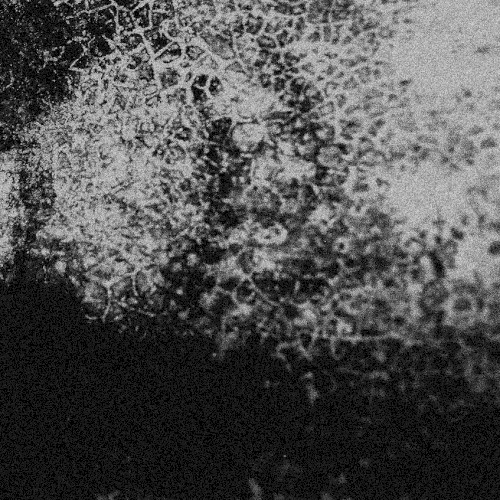 spell ep