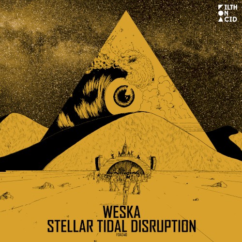 Stellar Tidal Disruption