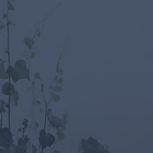 Verge
