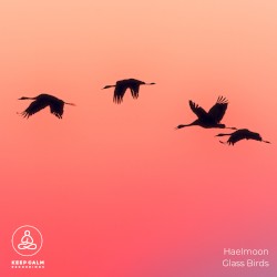 Glass Birds