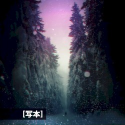 [写本] // Codex
