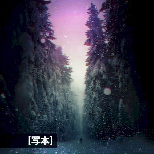 [写本] // Codex