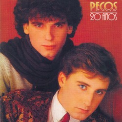 20 años
