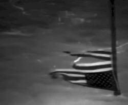 Flags Battered By Cold Winds