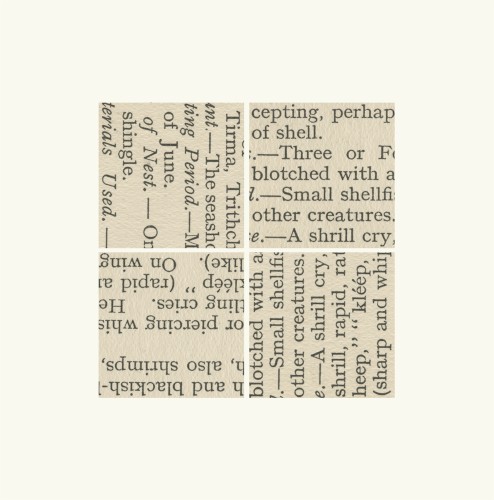 Verse of Birds