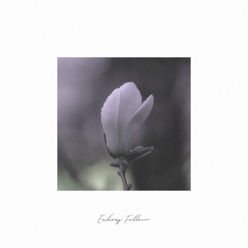Echoes Follow