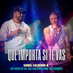 Qué importa si te vas