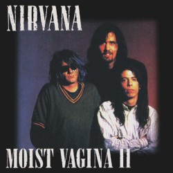 Moist Vagina II