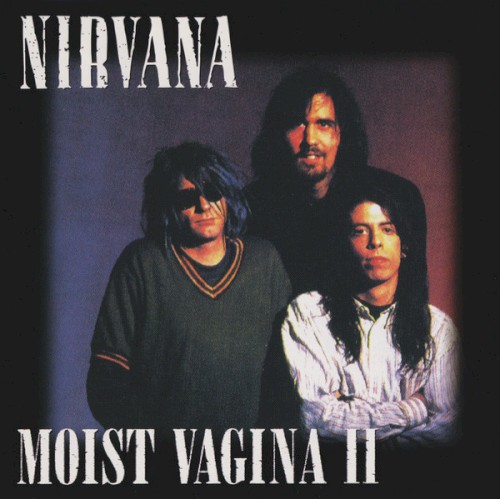 Moist Vagina II