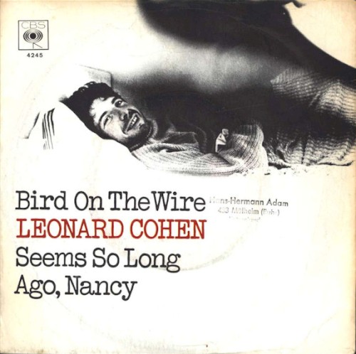 Bird on the Wire
