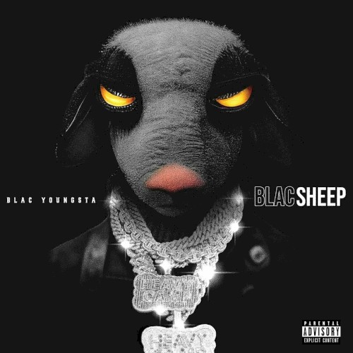 Blac Sheep