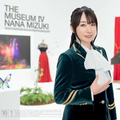 THE MUSEUM IV