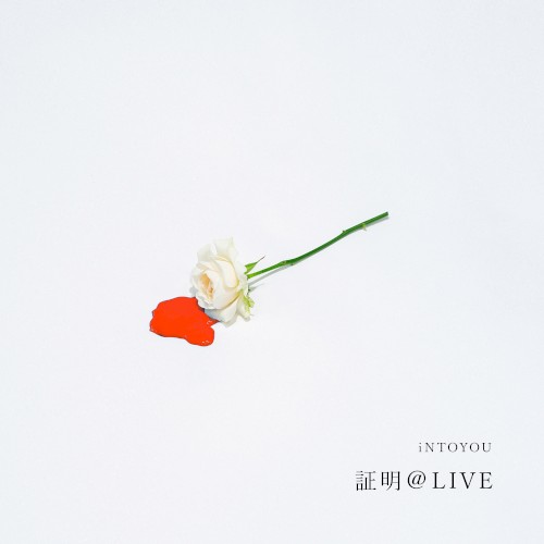 証明＠LIVE