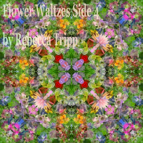 Flower Waltzes (Side 4)
