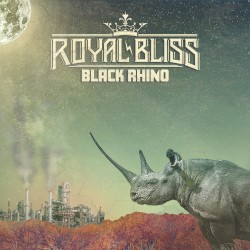 Black Rhino