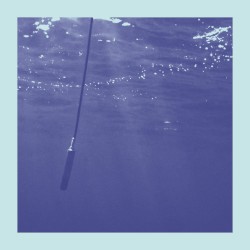La Baleine et Le Musicien (Edit)
