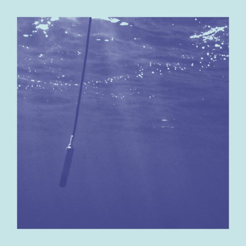 La Baleine et Le Musicien (Edit)