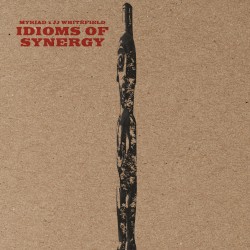 Idioms of Synergy
