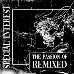 The Passion Of Remixed