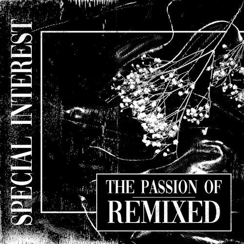 The Passion Of Remixed