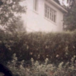 Backyard Cemetery II