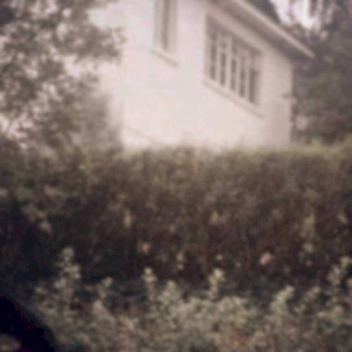 Backyard Cemetery II