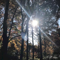 Philosophy’s Path