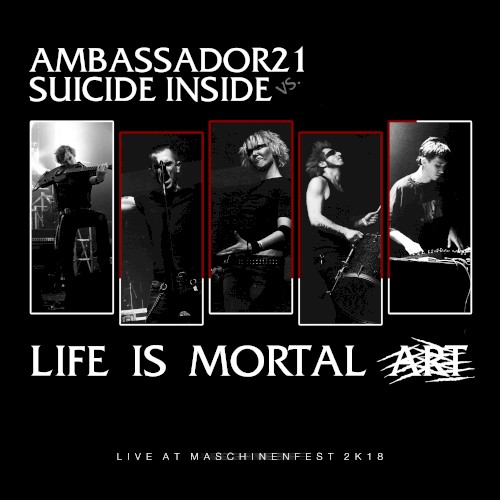 Life Is Mortal Art (live at Maschinenfest 2K18)