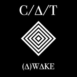 (A)WAKE