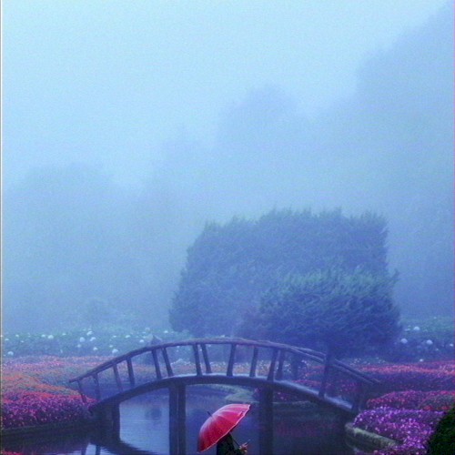 Petrichor Prefecture