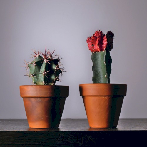 Deux