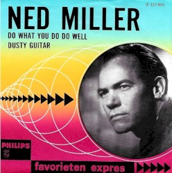 Do What You Do Do Well / Dusty Guitar