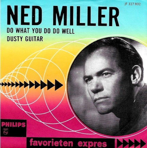 Do What You Do Do Well / Dusty Guitar