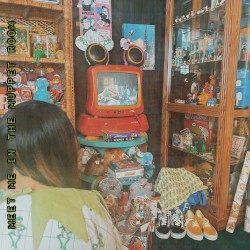 meet me in the muppet room