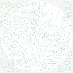 Untangle the Roots