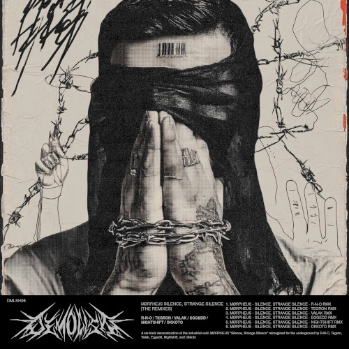 Silence, Strange Silence (The Remixes)