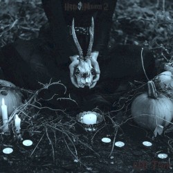Happy Halloween 2