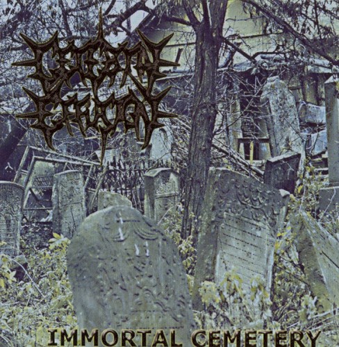Immortal Cemetery / Disemboweling of Intestines