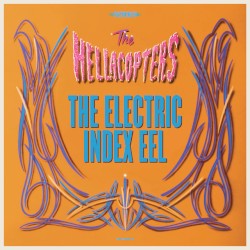 The Electric Index Eel (Revisited)