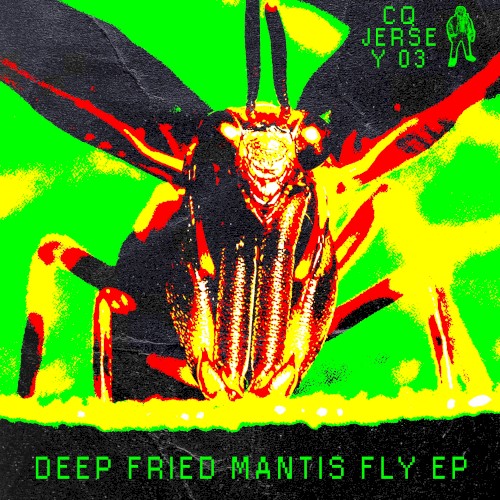 Deep Fried Mantis Fly EP