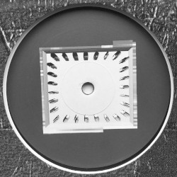 Variable / Plate