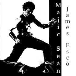 Masters of Faser Fu