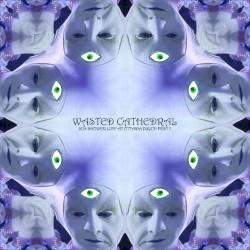 Sun Shower: Live at Ottawa Psych Fest II