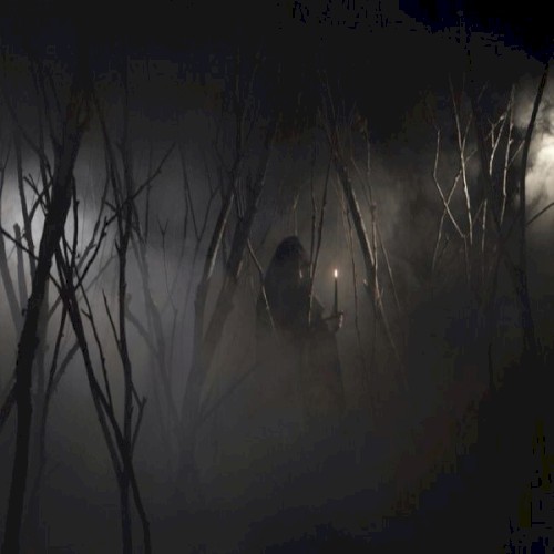 Dead Leaves and Black Candles