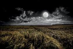 Moon Gazing