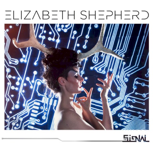 The Signal