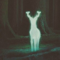 Shelter EP