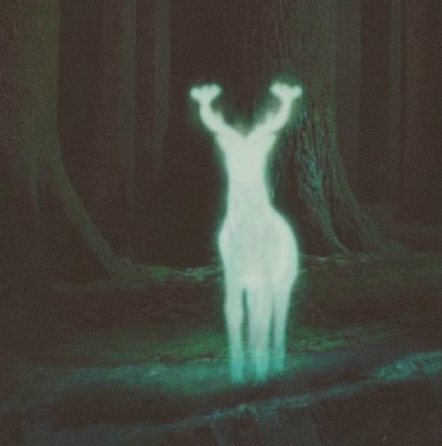 Shelter EP