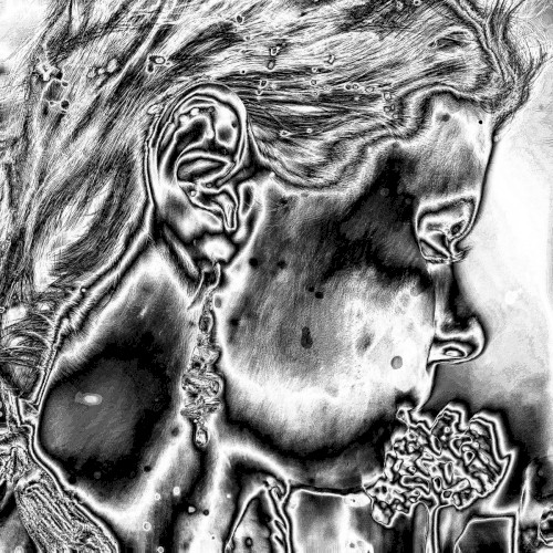 INCARNATE